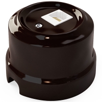 Нажмите для увеличения Розетка компьютерная RJ-45 Lindas, цвет коричневый