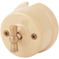 Нажмите для увеличения Выключатель одноклавишный (проходной) 2-х позиционный фарфоровый Salvador цвет Имбирь, OP11GI